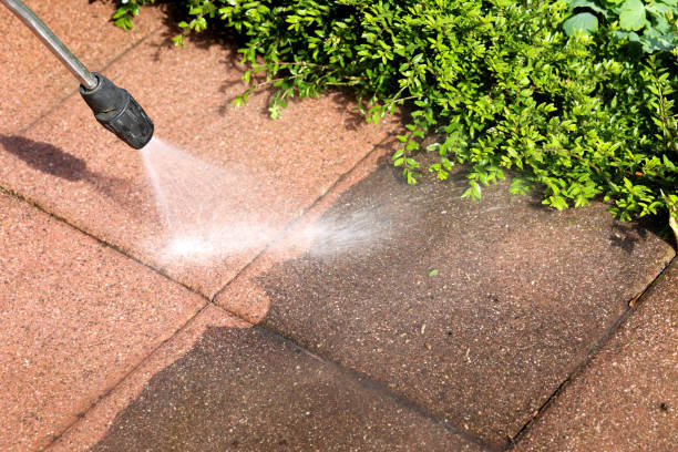 Best Pressure Washing Company Near Me  in Archer, FL